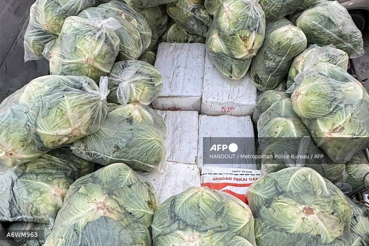 Thai police seize 1.6 tonnes of drugs hidden under cabbages
